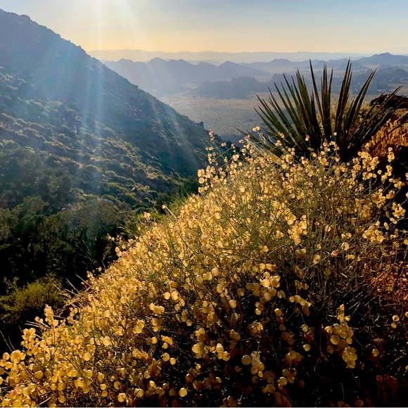 Meet your Posher, Asia - Picture 2 of 4